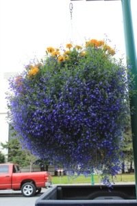 20130802-191625.jpg