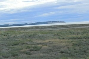 20130802-191729.jpg