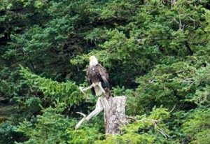 20130804-164028.jpg