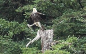 20130804-164037.jpg