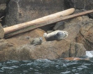 20130804-164209.jpg