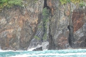 20130804-164324.jpg