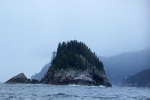 20130804-164844.jpg