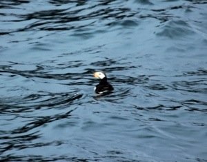 20130804-164943.jpg