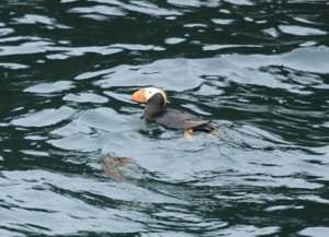 20130804-165010.jpg