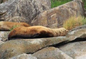 20130804-165046.jpg