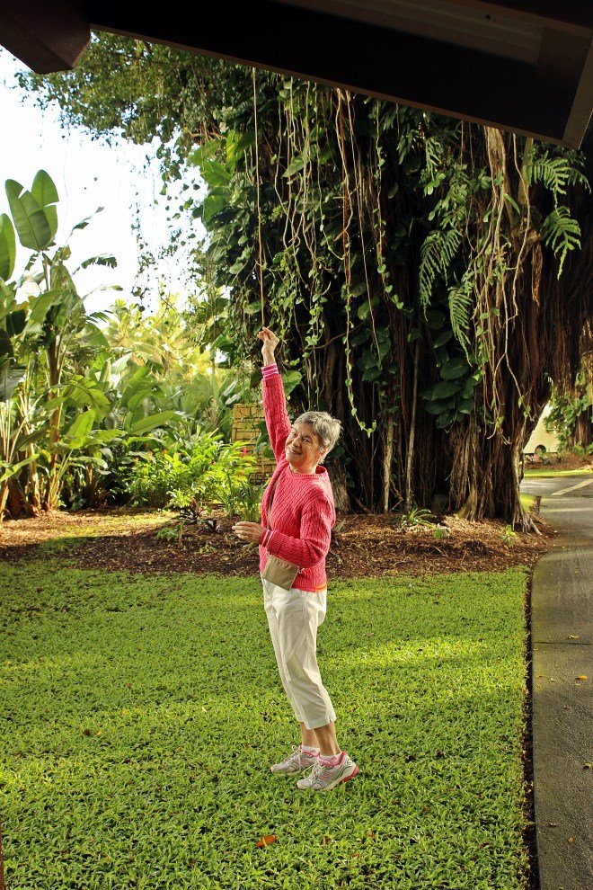 Mom holding the root of a Banyon tree that is dropping.