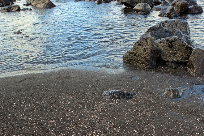 Black Sand