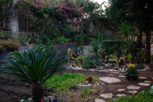 The Garden