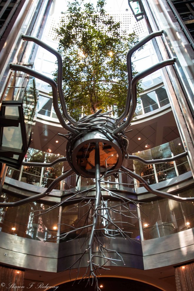 The sculpture inside the core area of the ship - it's a tree on the top with a steel tree as a reflection underneath it.