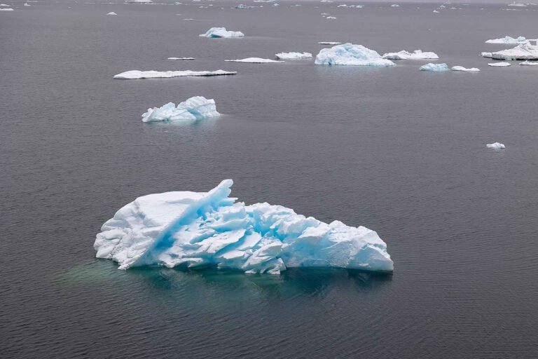 Icebergs from the ship