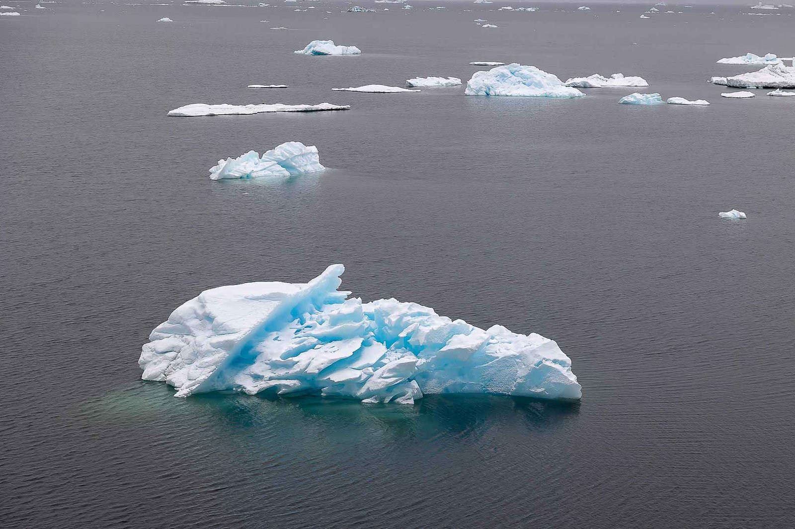 Icebergs from the ship