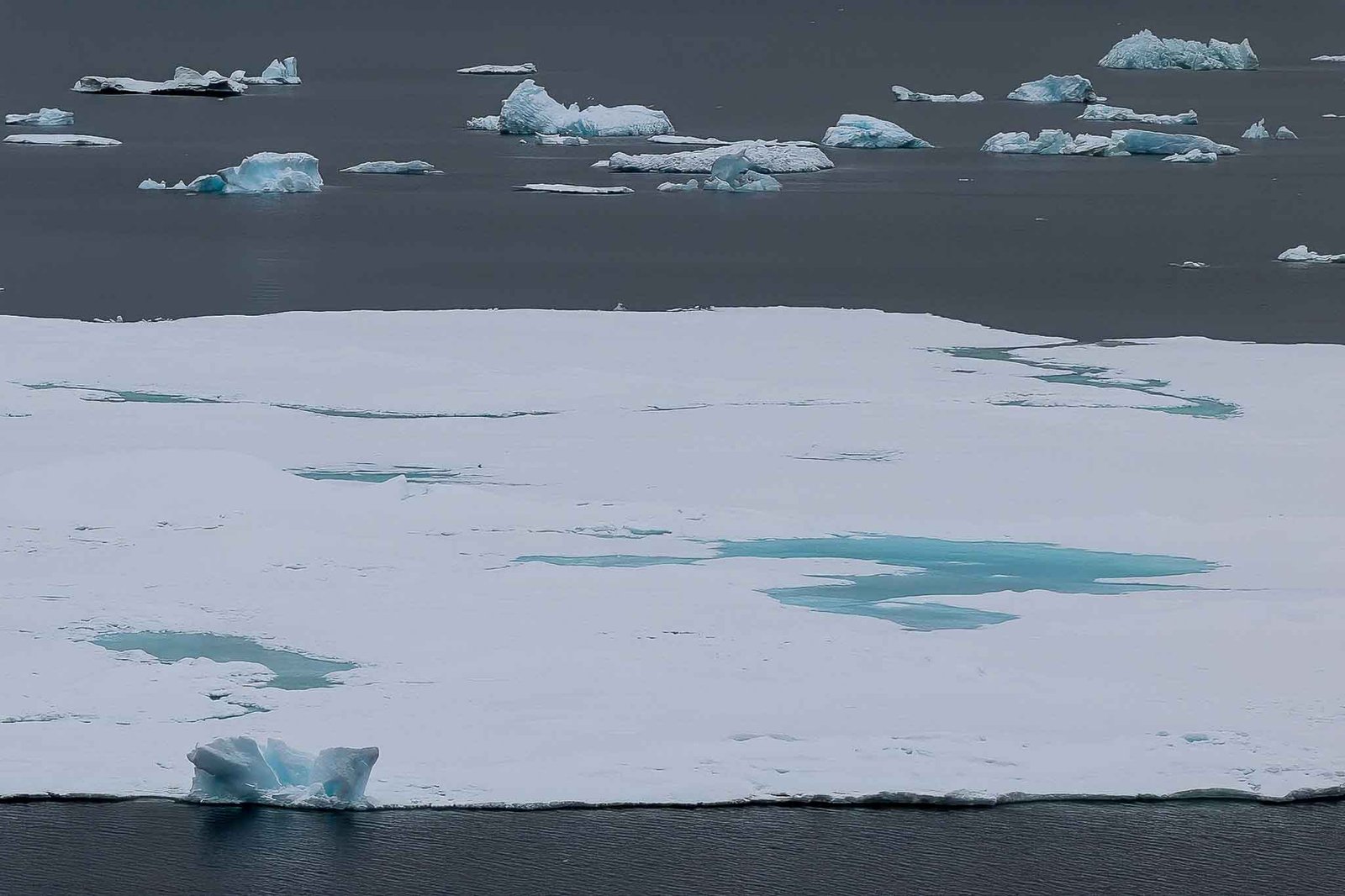 Icebergs with water pools from the ship