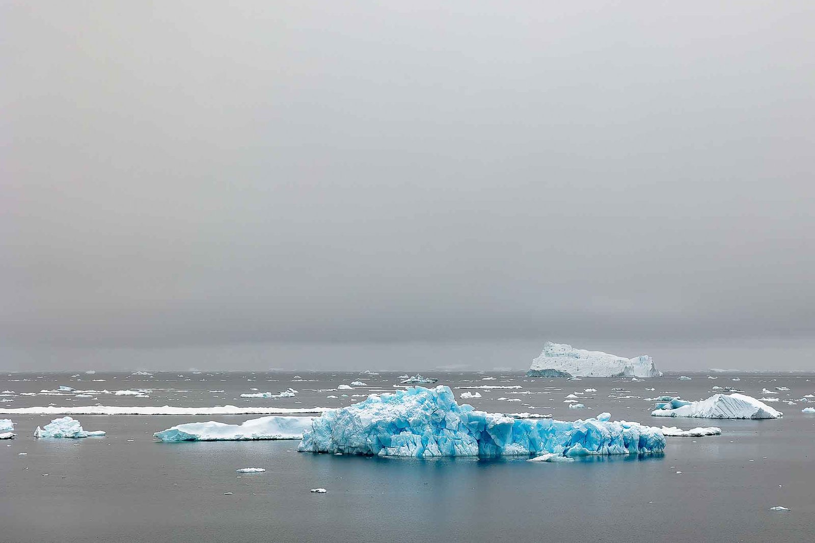 Icebergs from the ship