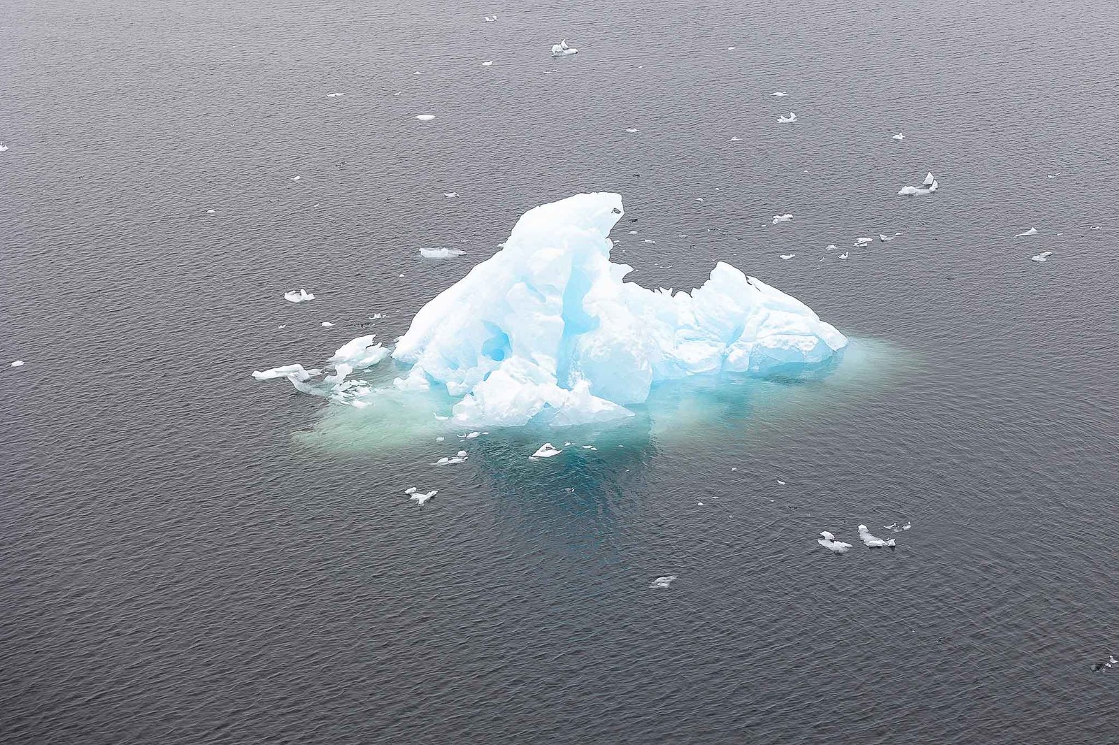Icebergs from the ship