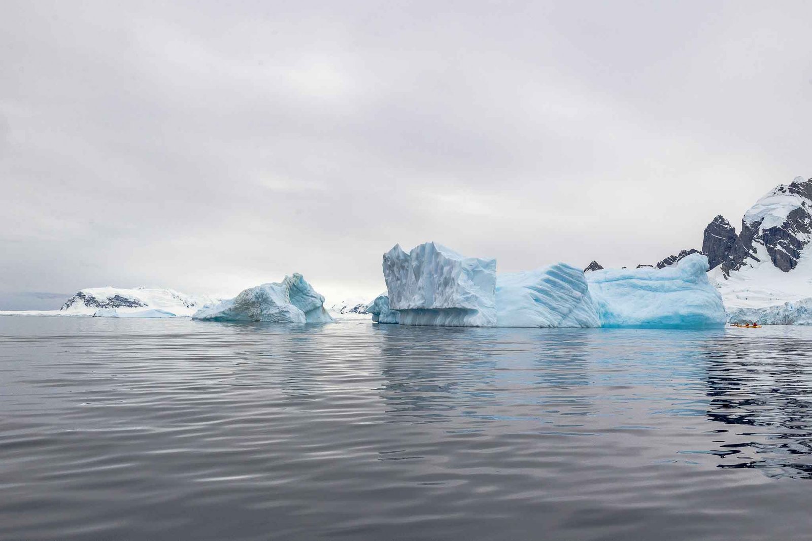 Ice formation in Cuverville harbor