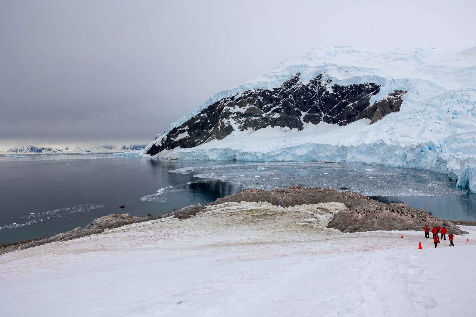 Views of the harbor and other hikers with the Gentoo colony in the distance