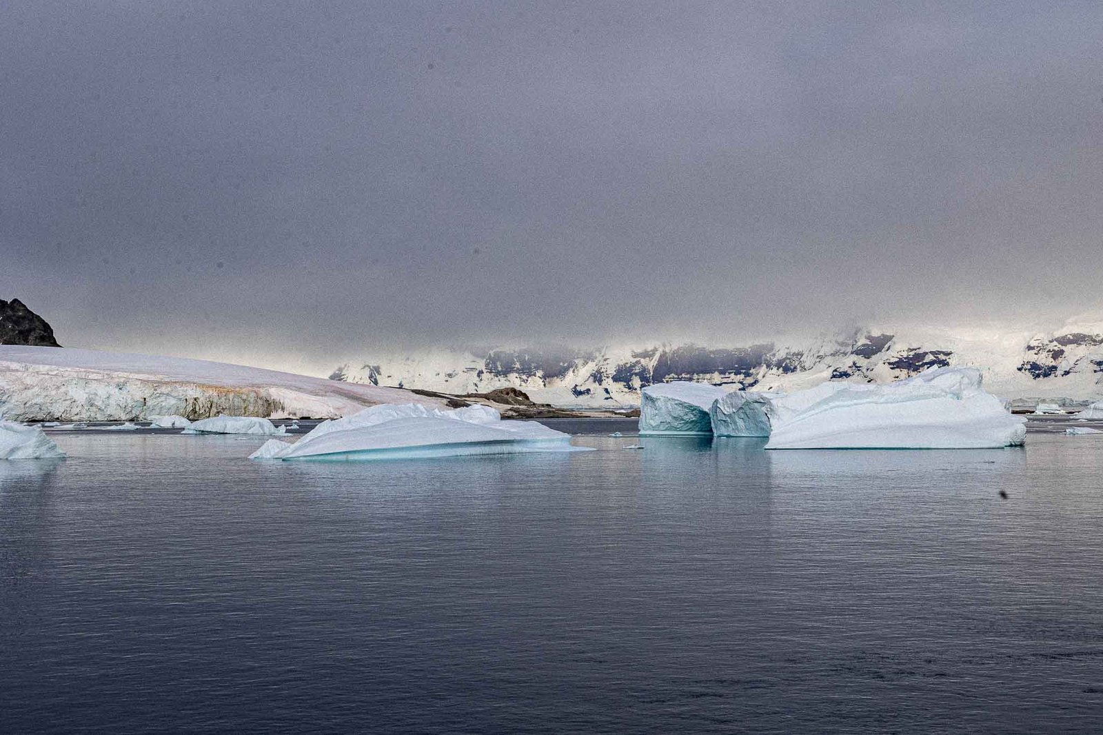Ice formations in Cuverville Harbor