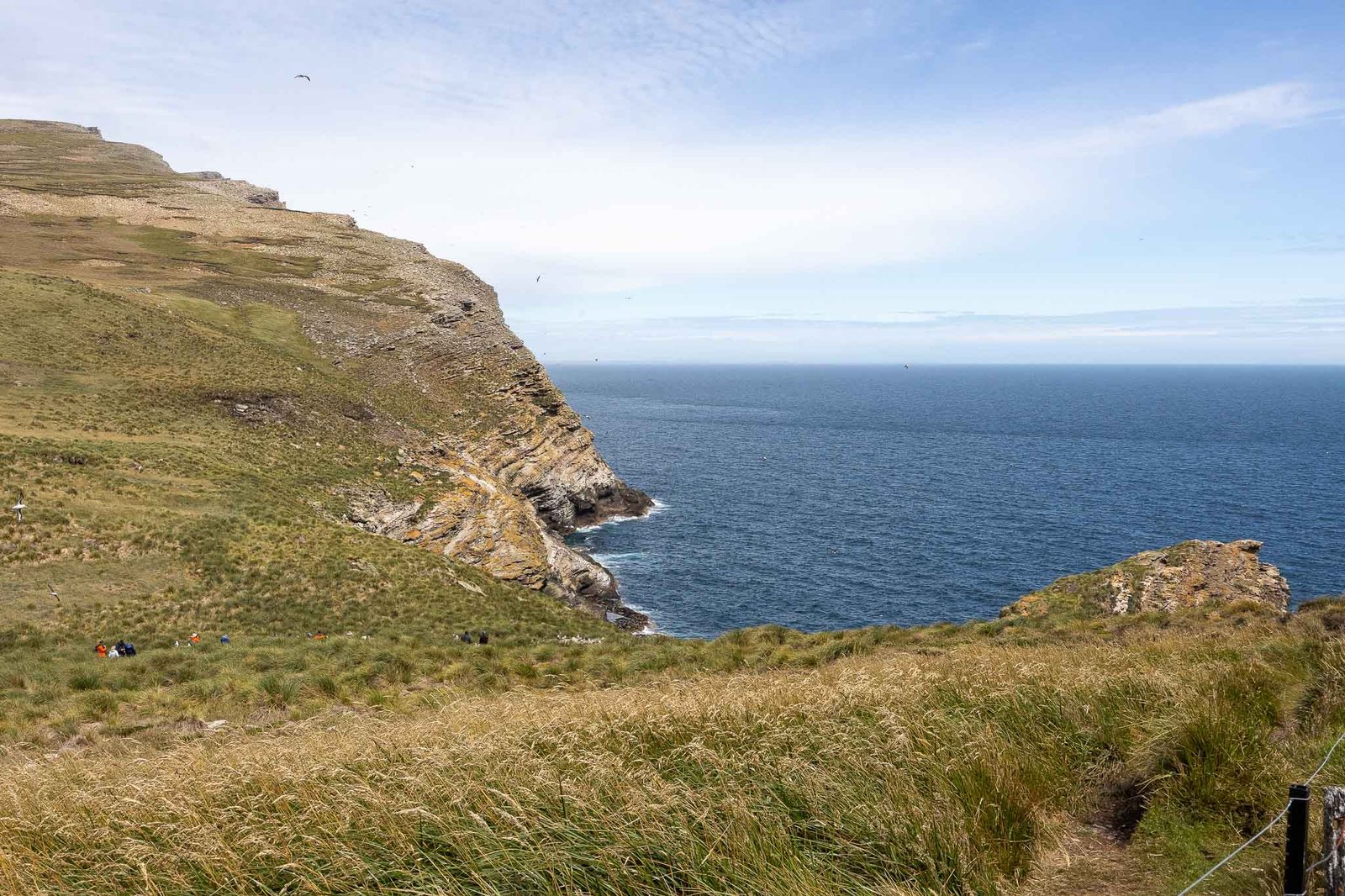 The Cliffs near the colony