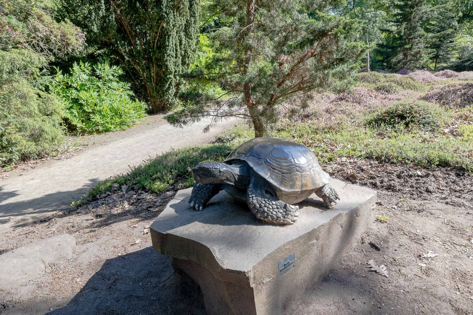 Turtle statue at the Botanical Garden
