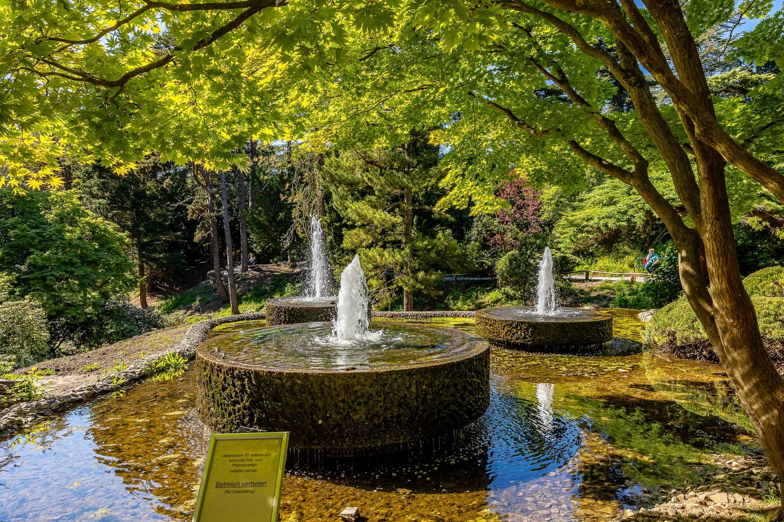 Fountains at the Botanical Garden