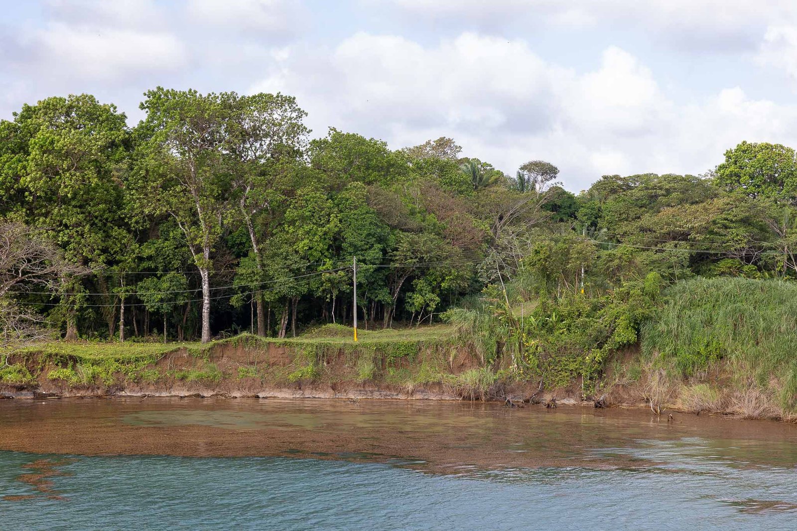 Views along the canal