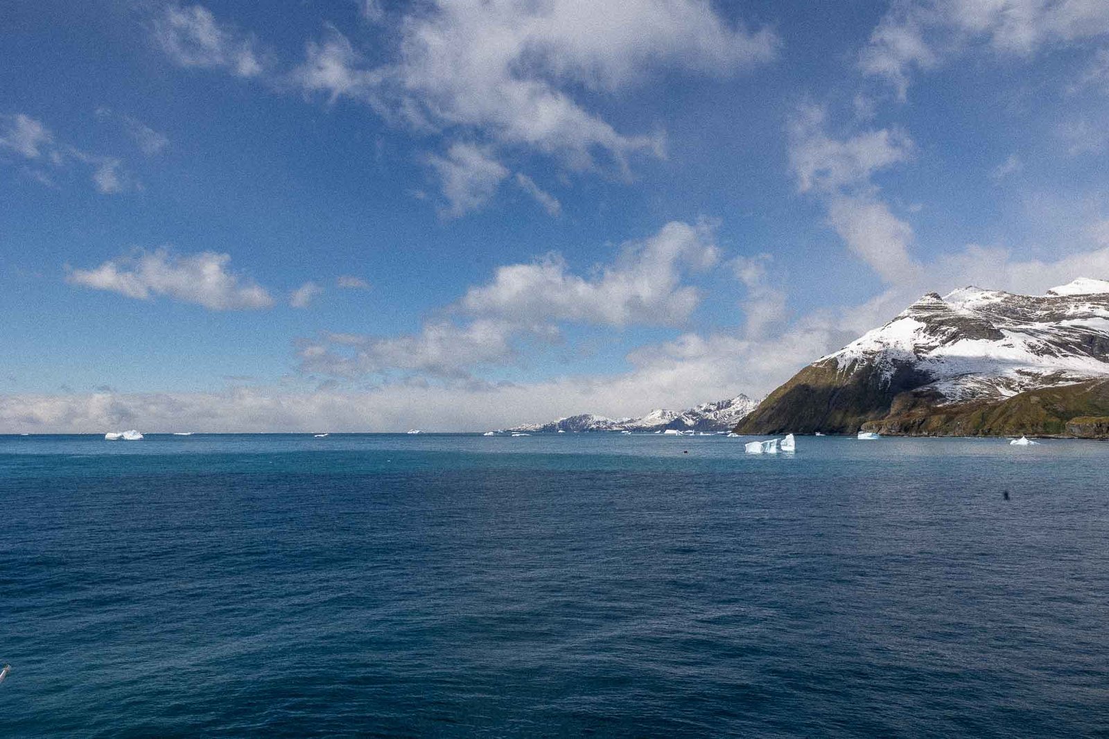 Gold Harbor with icebergs in the distance