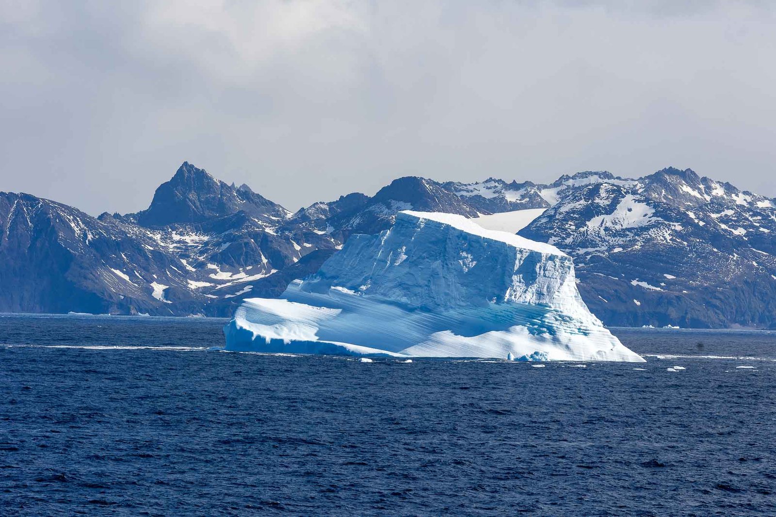 Icebergs off South Georgia