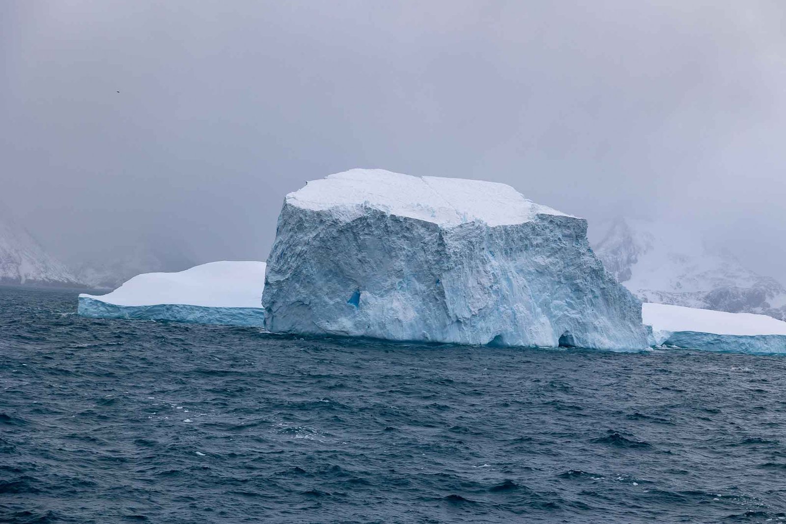 Icebergs off South Georgia