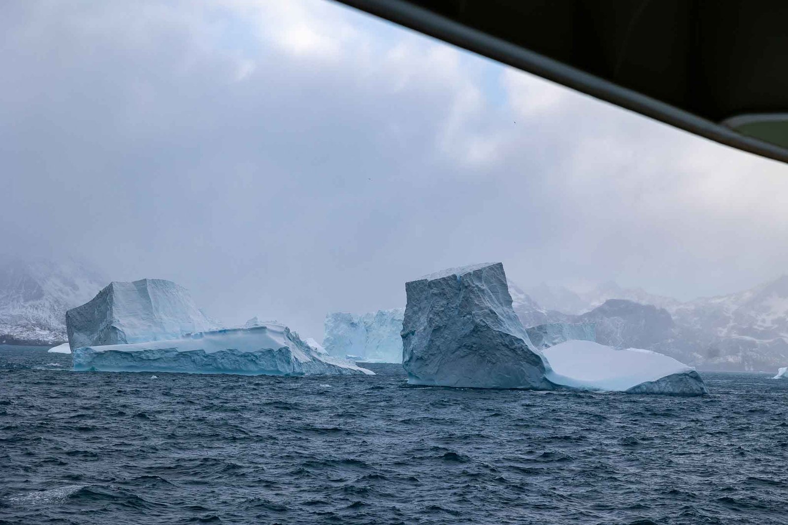 Icebergs off South Georgia