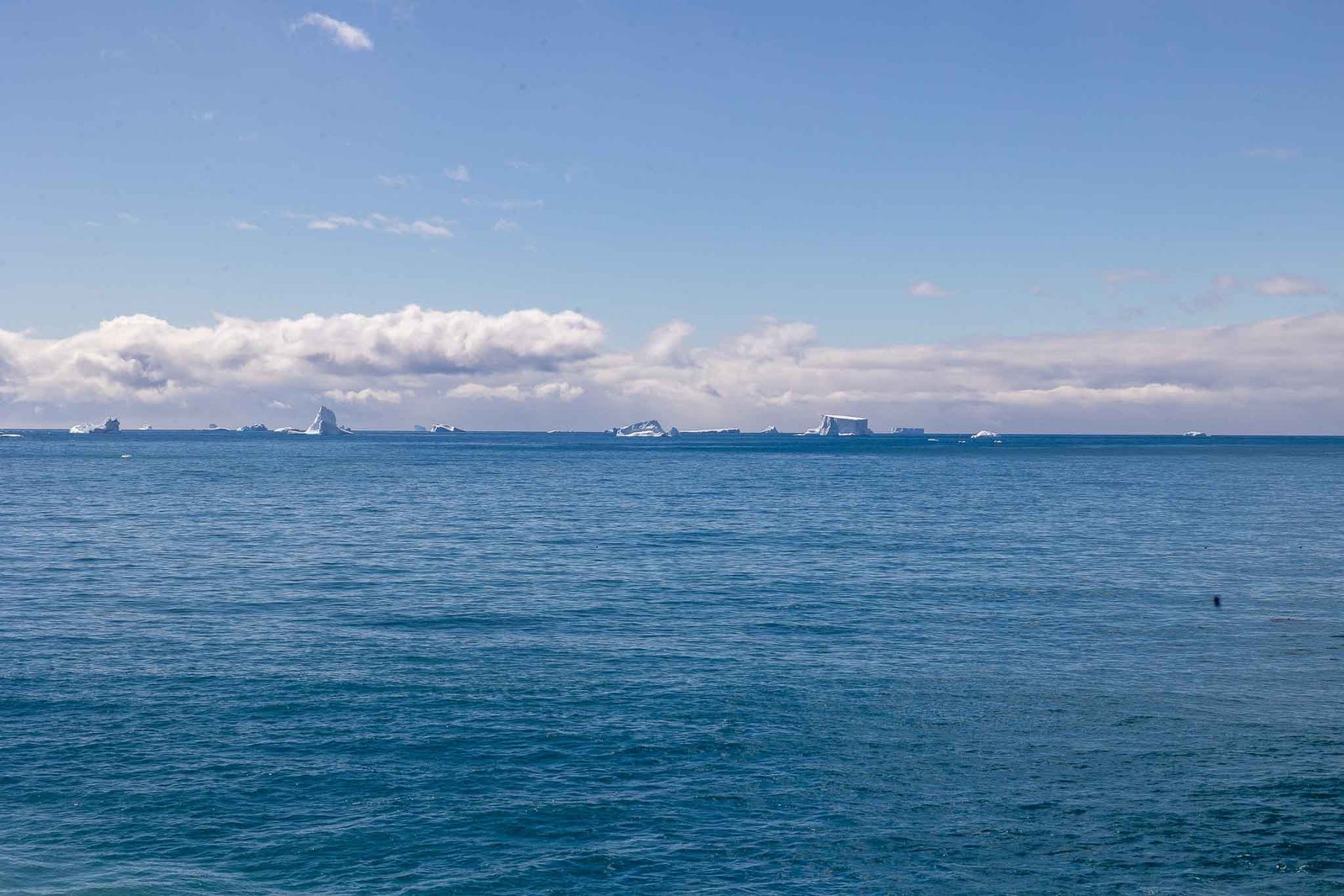 Gold Harbor with icebergs in the distance