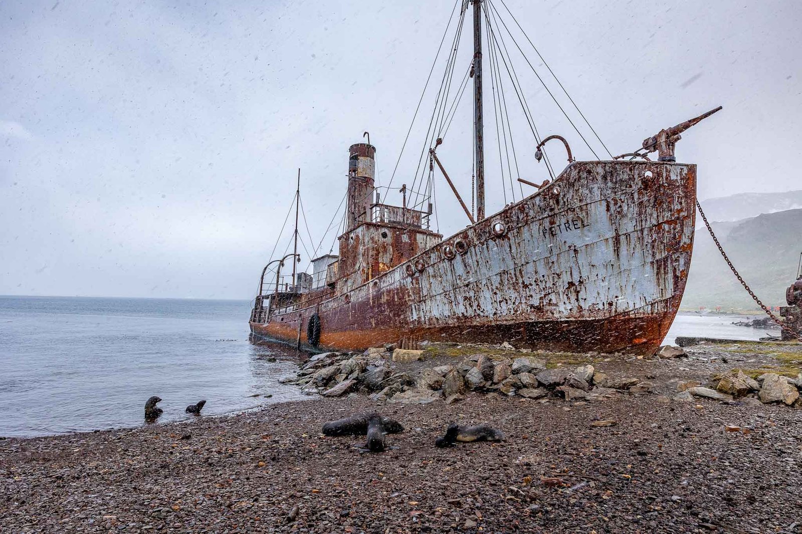 A ship wreck at the haling station