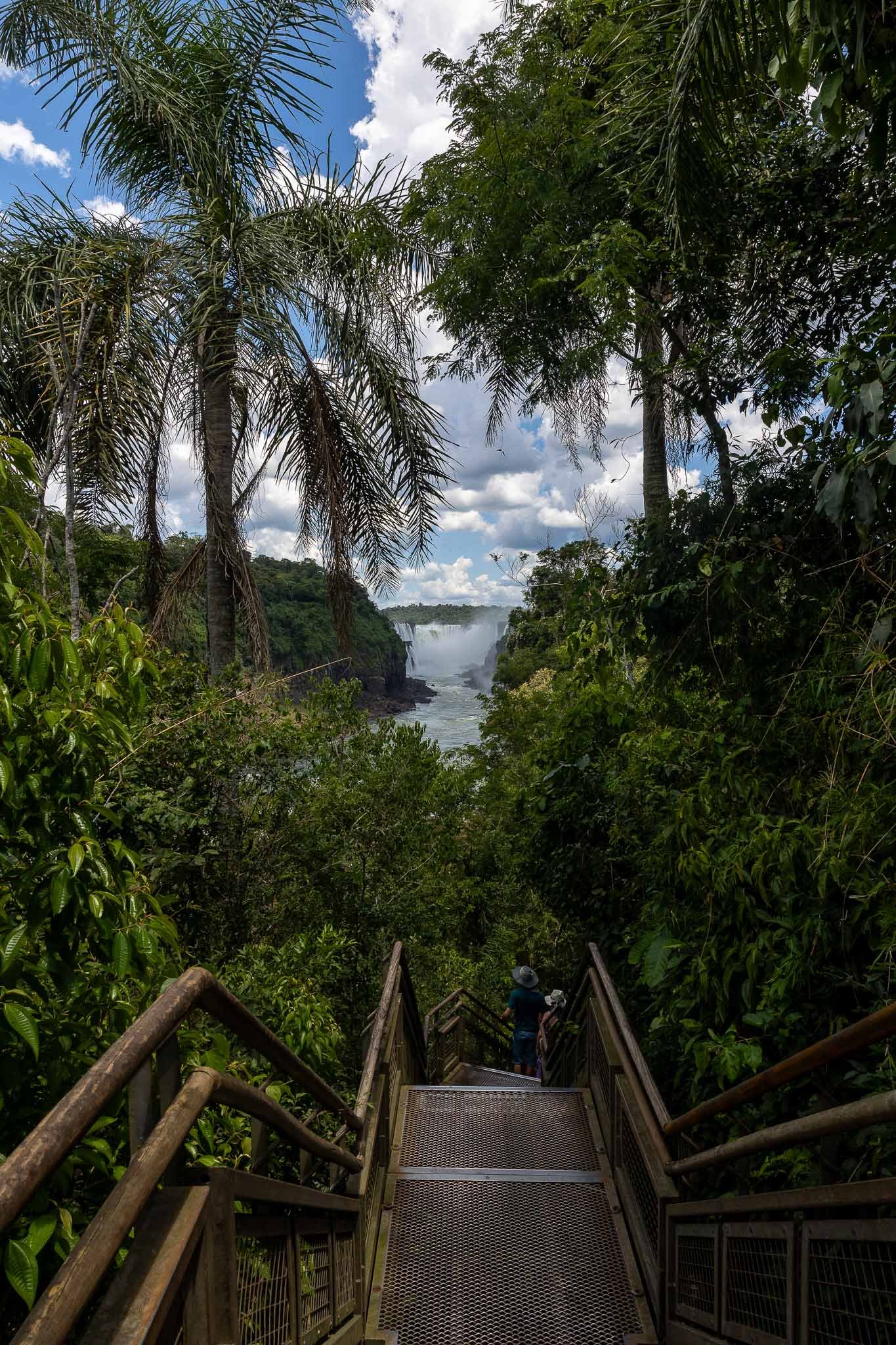 Lower falls trail views