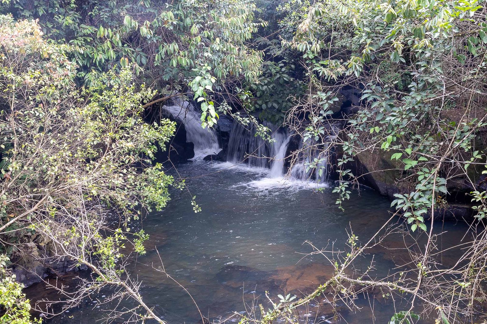 Lower falls trail views