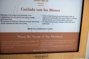 Sign from the hotel room door abou the monkeys