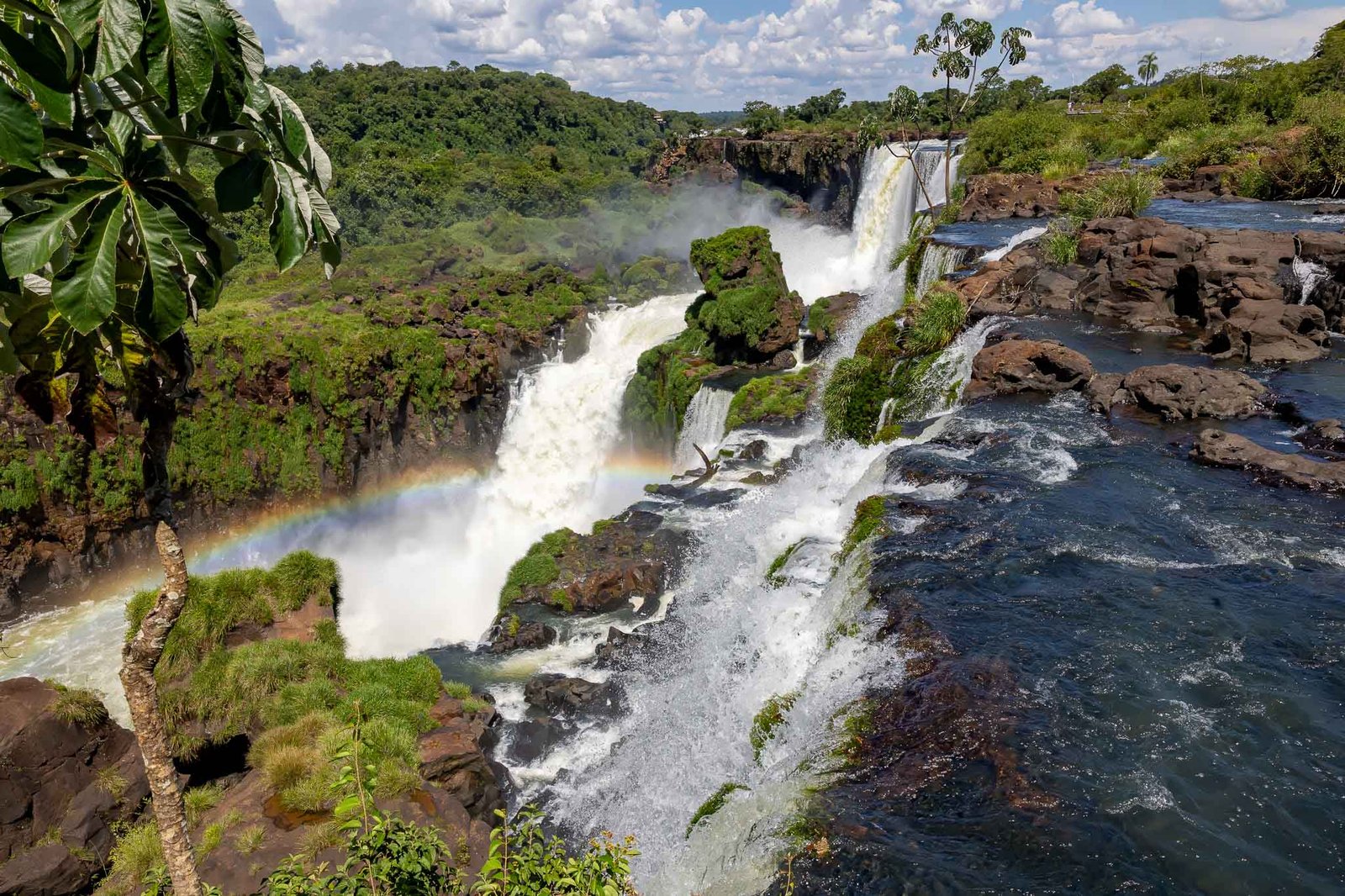 Iguazu falls views