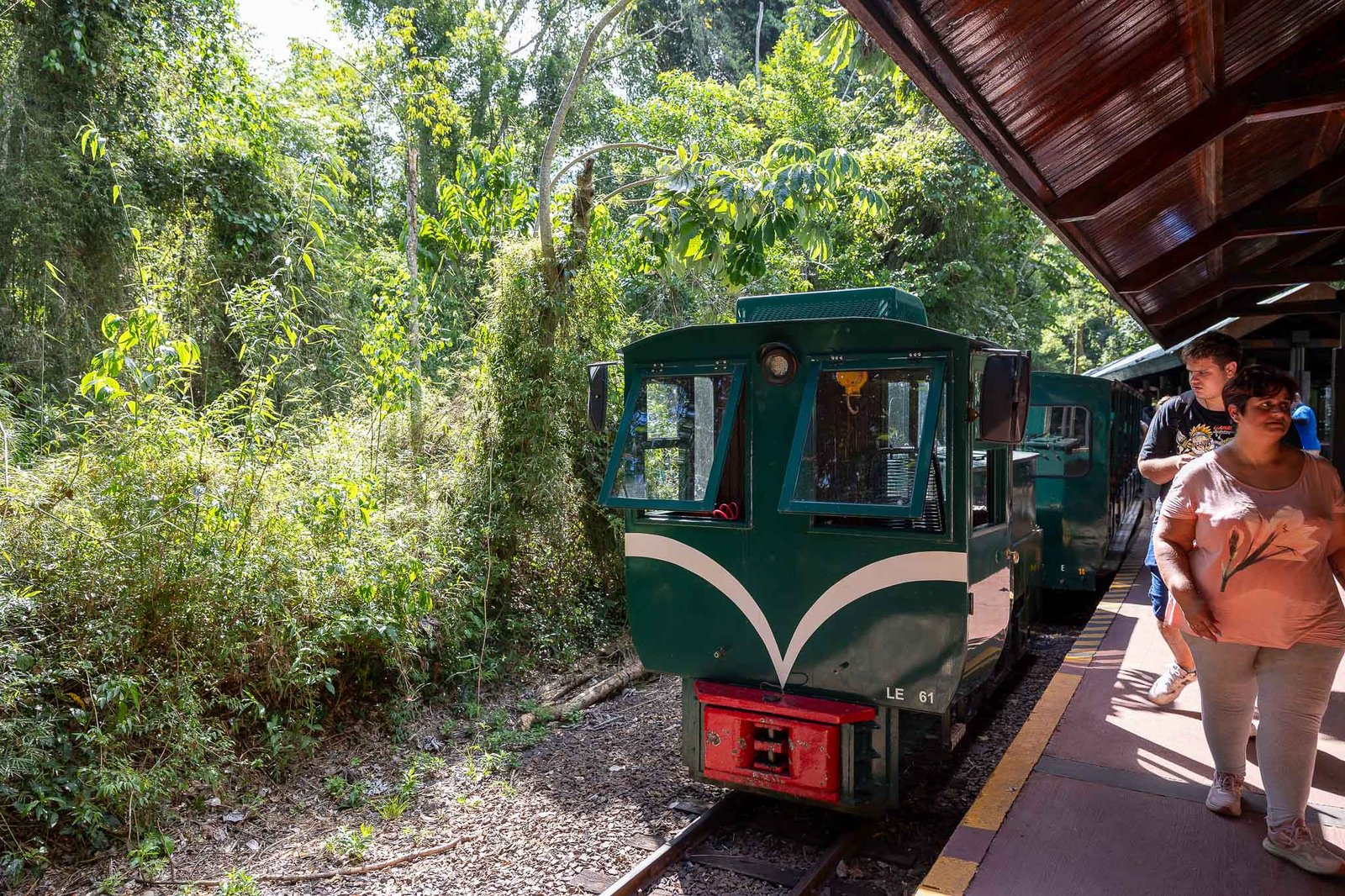 Train in the parkl