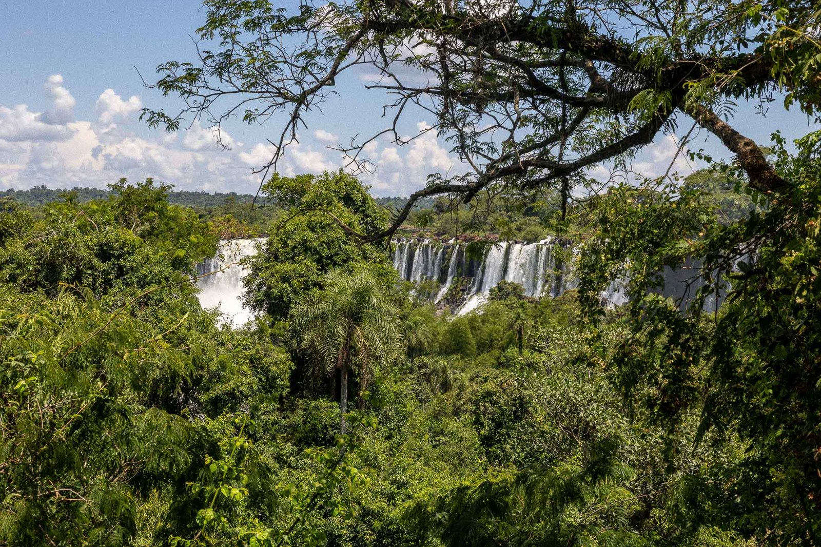 Iguazu falls views