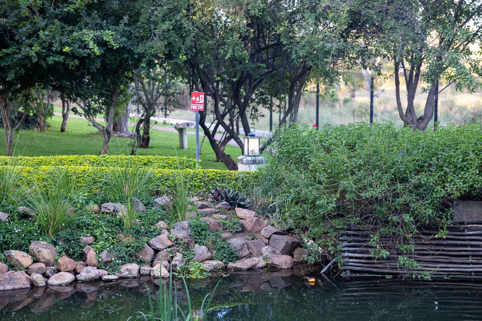 Hotel pond