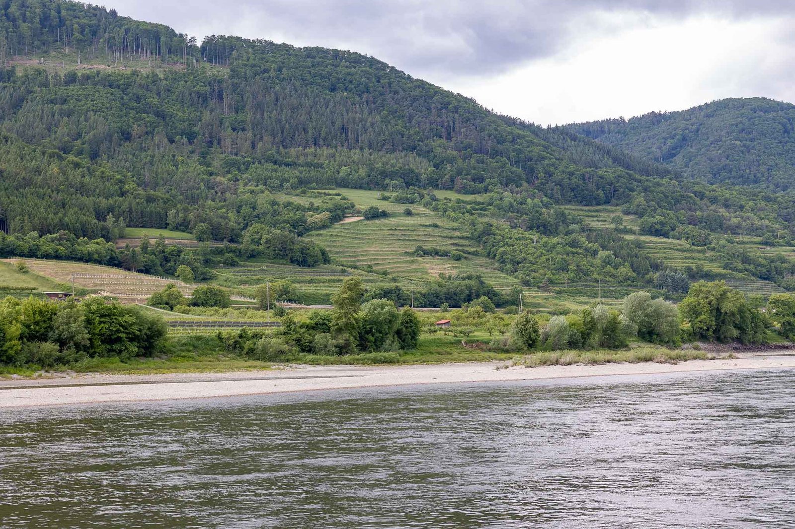 Vineyards along the Danube