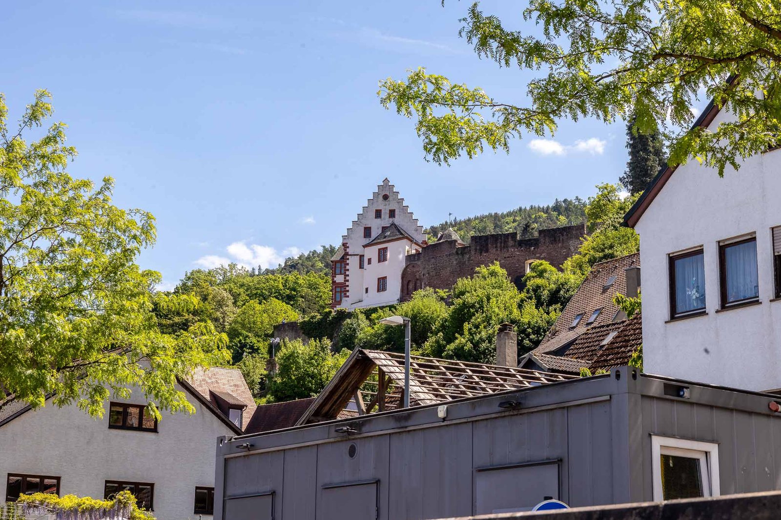 The castle in Miltenberg
