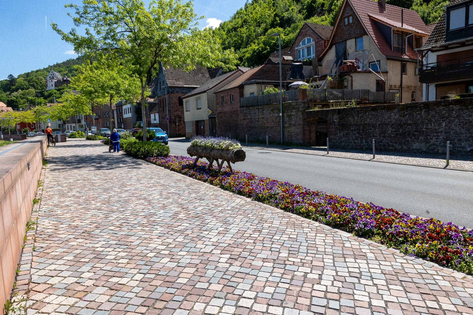 Flowers along the waterfront path