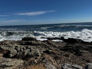 Views on Marginal Way