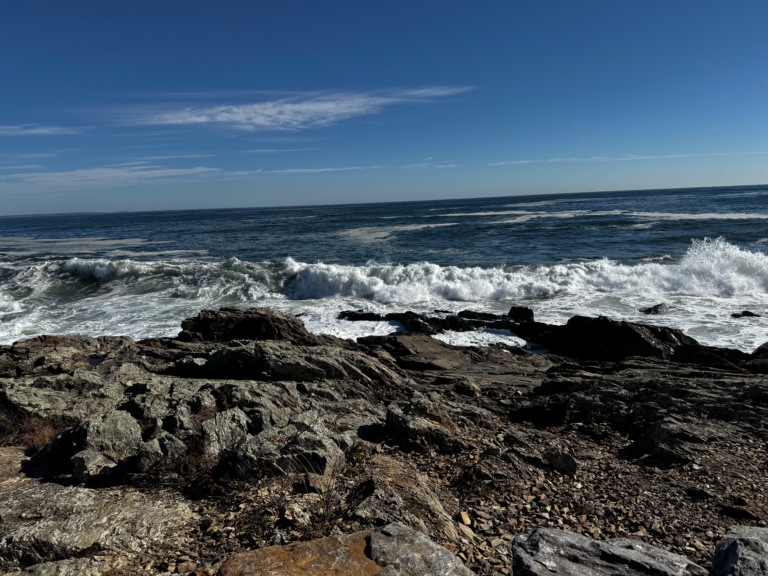 Views on Marginal Way