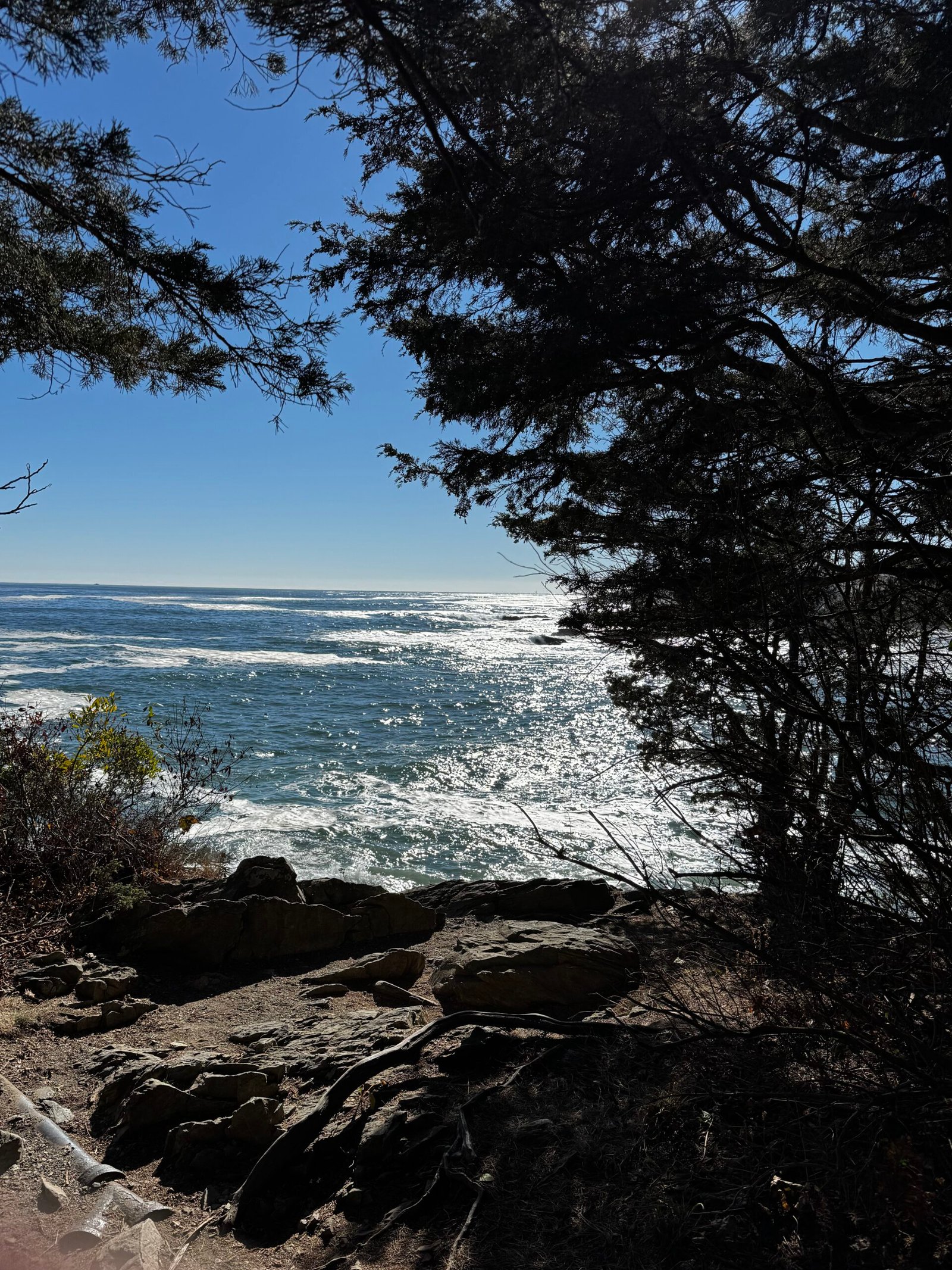 Views on Marginal Way