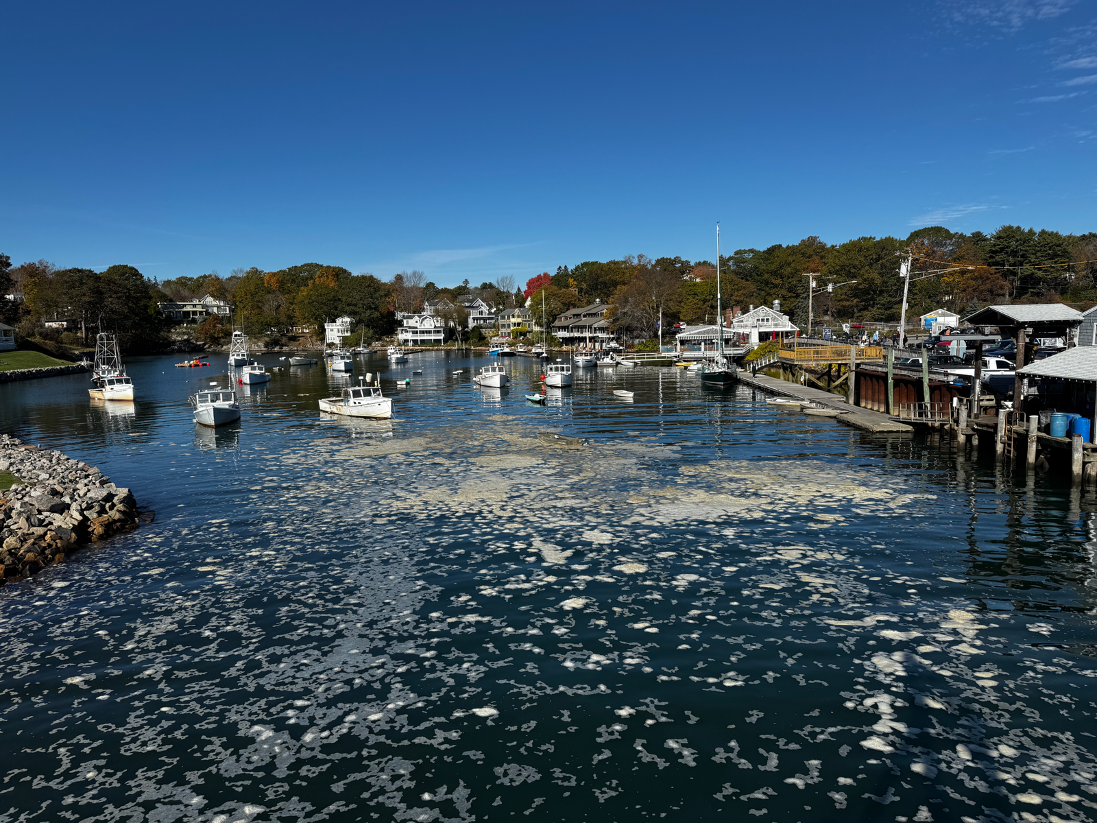 Perkins Cove