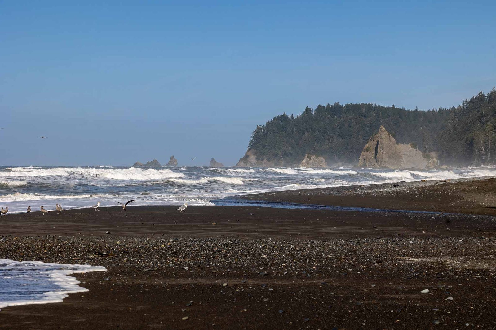 Views from Rialto Beach with