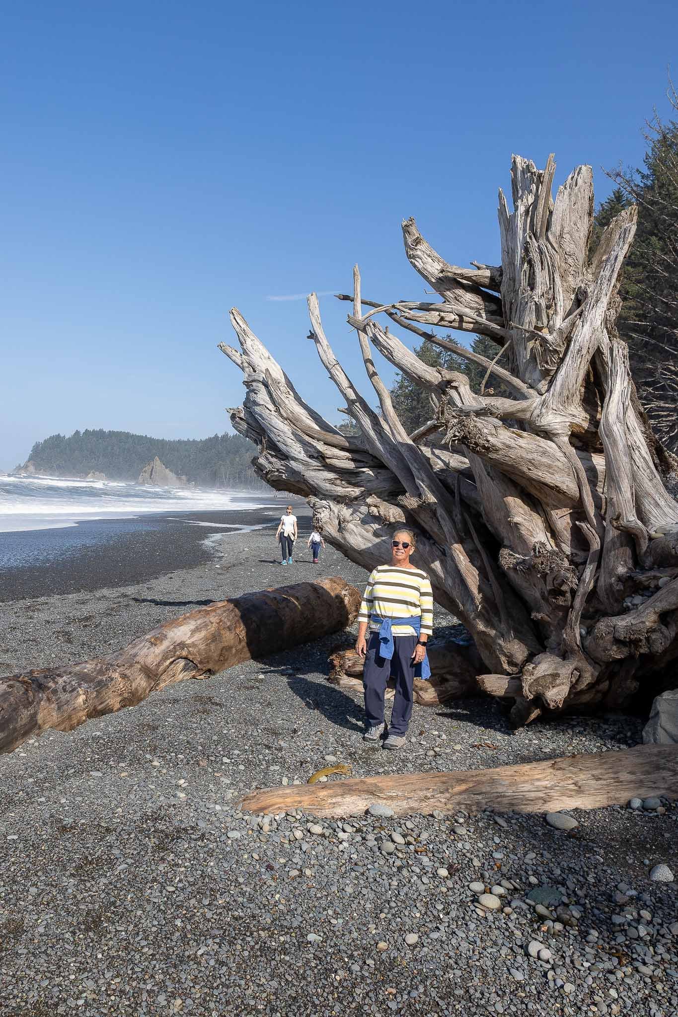Views from Rialto Beach