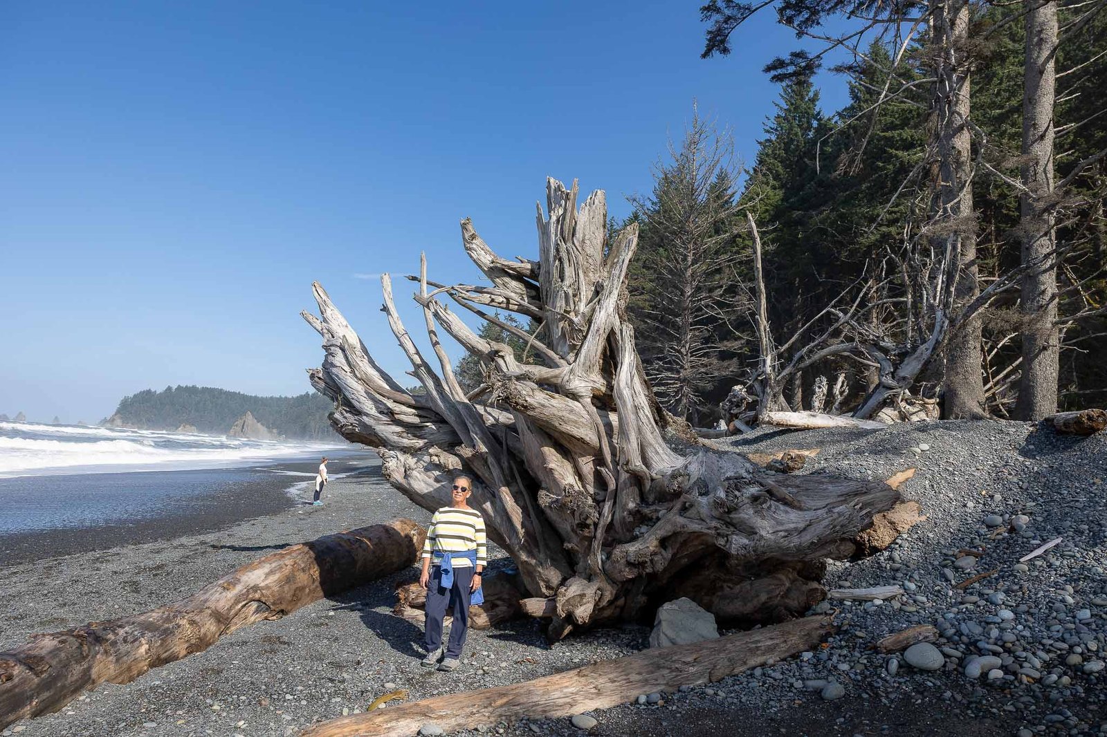 Views from Rialto Beach