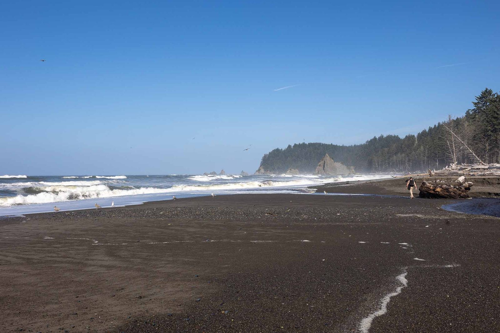 Views from Rialto Beach